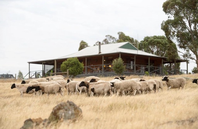 Gilgraves Vineyard Farmstay