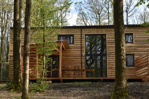 Gite cocon dans la forêt