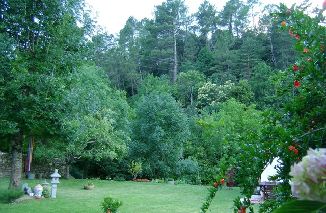 Gite de Charme en Cévennes