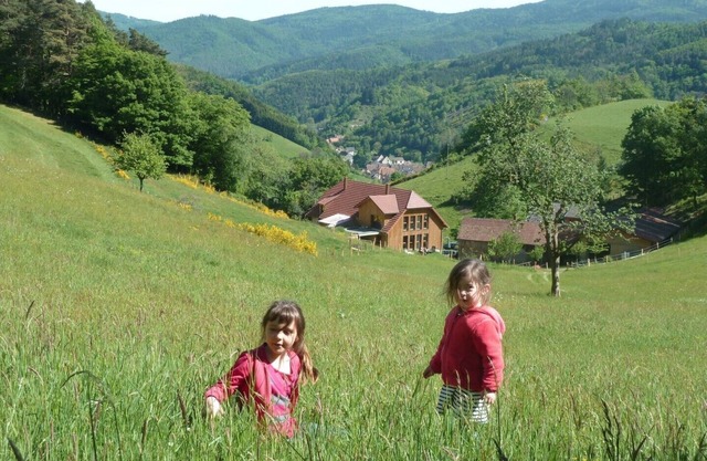 Gite de Pierreusegoutte A et B