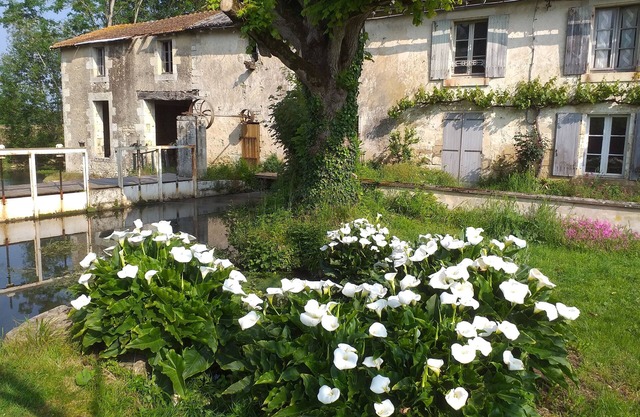 GITE DU MOULIN