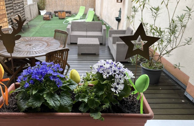 Gite Edelweiss with terrace and parking in the heart of Eguisheim, 10km from Colmar