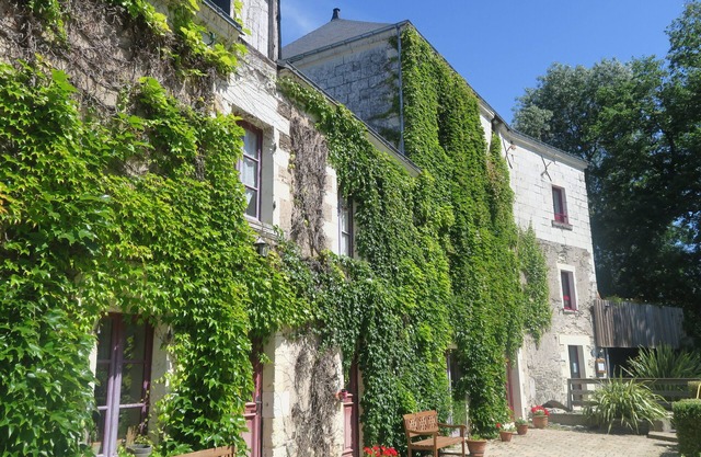 Gite in the heart of the vineyards in Anjou