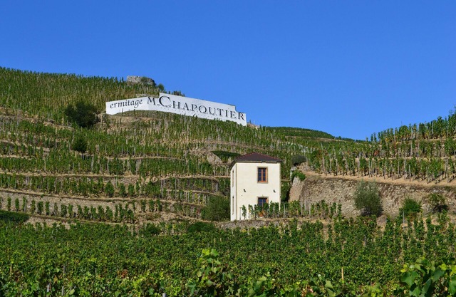 Gîte La Tour du Pavillon in the heart of the Ermitage vineyards