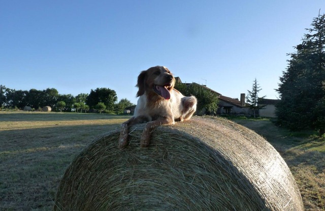 Gite Vergt, 3 bedrooms, 6 persons