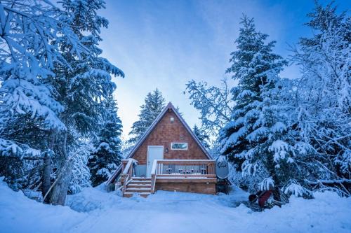 Glacier Creek Cabins