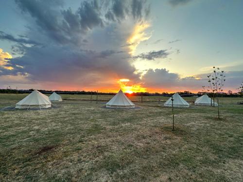 Glamping at Beltie Park