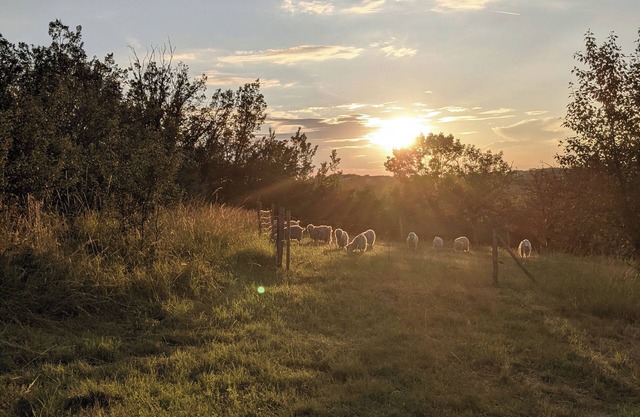 Glamping by Horizon Mohair, Espace Valériana!
