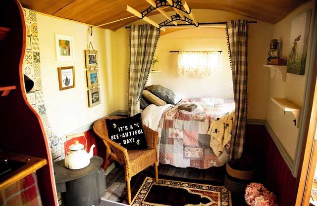Glamping Shepherds Hut in Holt Hollow, Rural North Norfolk, Dog Friendly