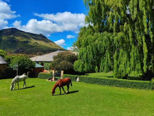 Glengyle Guest Farm