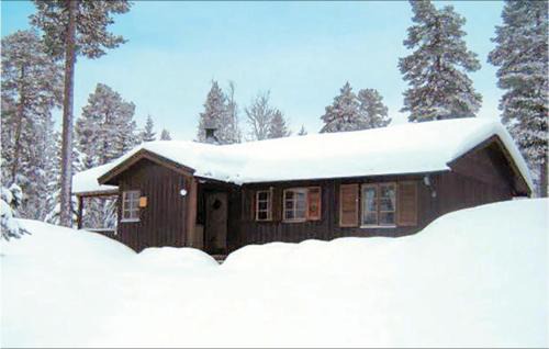 Gorgeous Home In Särna With Kitchen