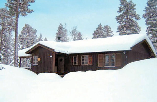Gorgeous home in Särna with kitchen