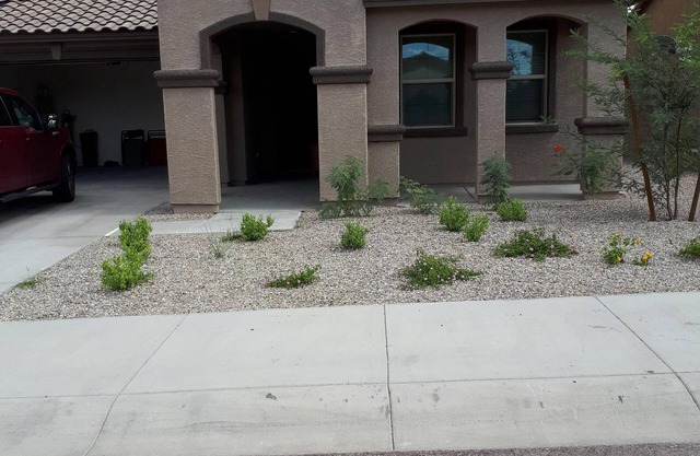 Gorgeous new home in Estrella Mountains