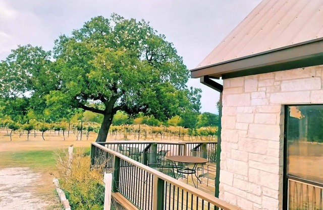 Gorgeous Vineyard Home in the middle of the Vines!