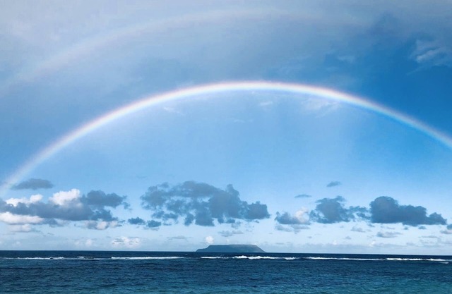 the blue house and its garden