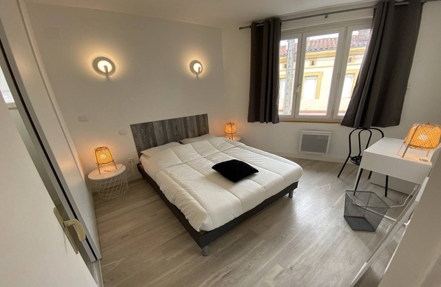 Graceful apartment in Toulouse