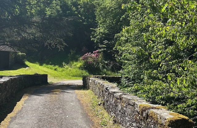 Grand MOULIN Restored In Beautiful Green Space, Near Uzerche