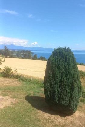 Grandioso alojamiento en el Sur cercano a Osorno y Valdivia