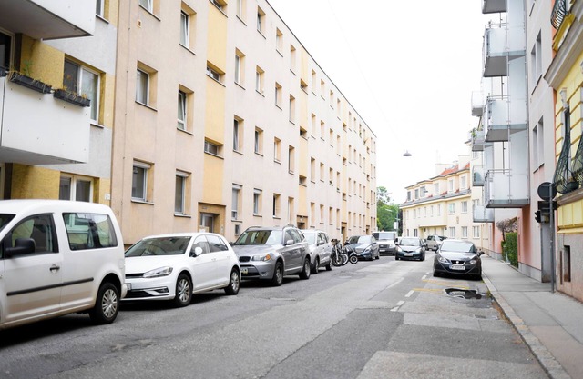 Great Entire Apartment Near City Center ViennanInternal name: Austrian King 2