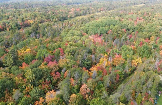 Great Escape Cabins: Cabin 2