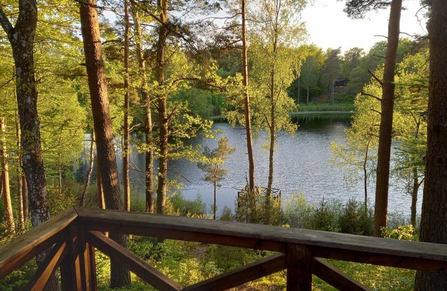 Great house with Spa and Sauna