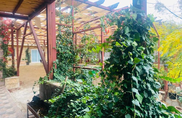 Green houseجوهره الشمال