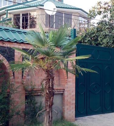 Green House