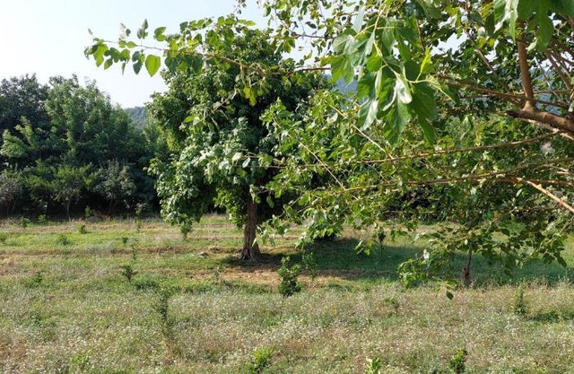 GREEN Village Place