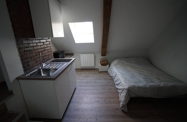 Guest Beautiful studio annecy lake