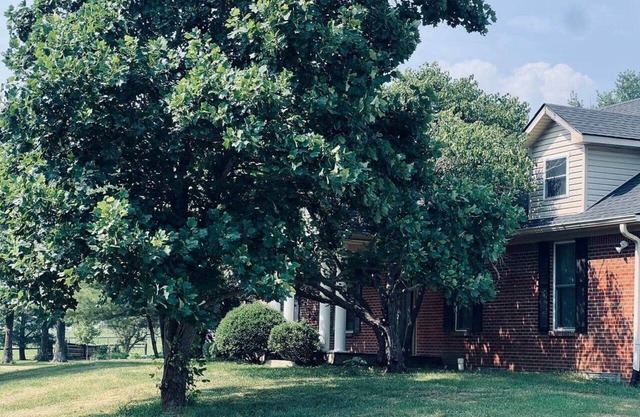 Guest Home on Historic Horse Farm