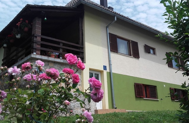 Guesthouse Loncar is waiting for you! Just come and enjoy :)
