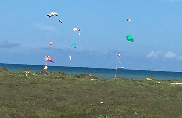 Gulf view! Private beach access. A quick walk to the beach!