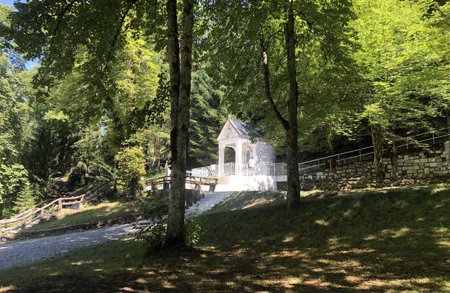 Hôtel Les Afforêts