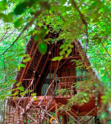 Habarana Tree House Ambasewana Resort
