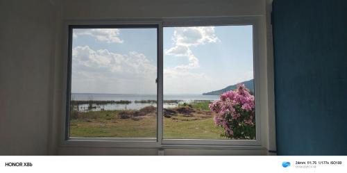 Habitaciones Cahui