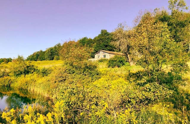 Hamden Hill House