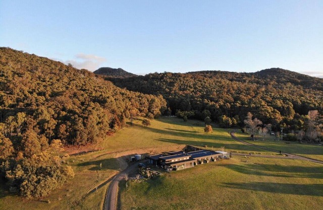 Hanging Rock Views, Queen Suite in classic bush setting