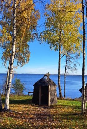 Hara Sadama iglukämping