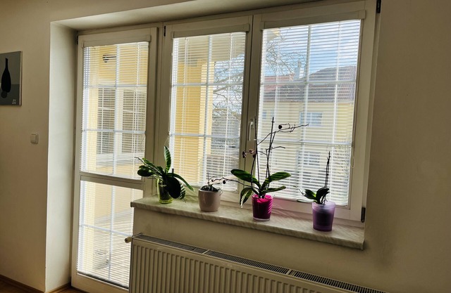 Harrison Homes Apartment 01 - Peaceful Oasis in Prague 10 - Garden City nn