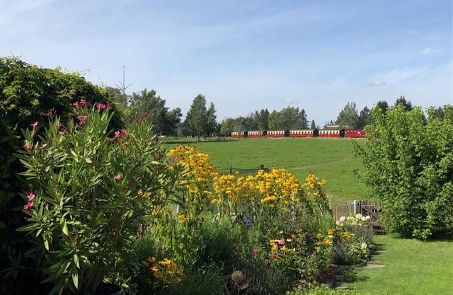 Harzquerbahnblick