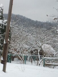Hata
