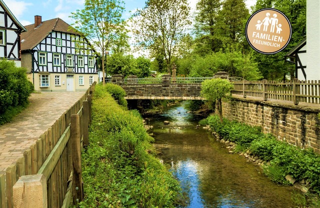 HAUS PAPE (300m², 15 pers) with large private garden + sauna/football/darts/barbecue