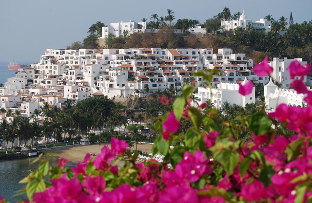 Have it All: Ocean View, Beach, Pool and Style for $99 p.n.