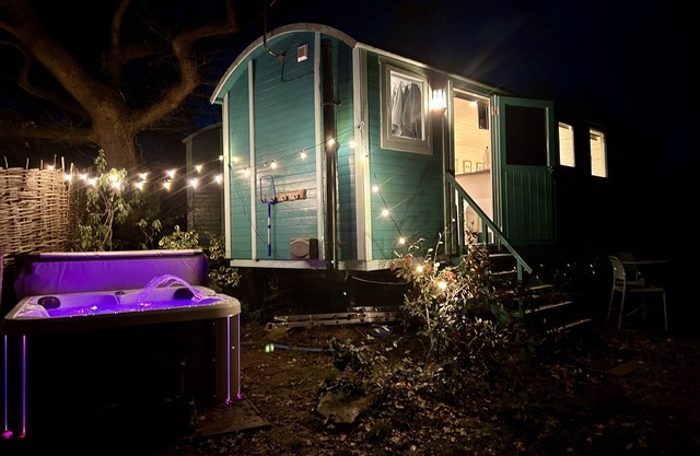 Heartsease - luxury Shepherd's Hut, amazing views.