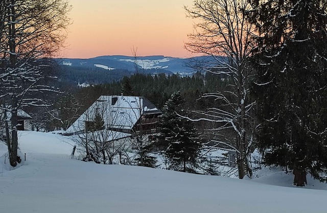Heavenly nature 2 - 2-room apartment ground floor in Black Forest style between Titisee and Schluchsee