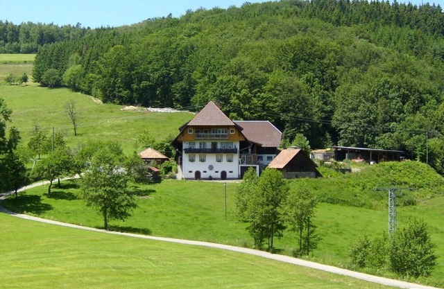 Heizmannshof flower meadow