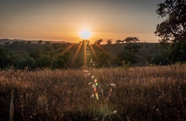 Herdade da Maceira