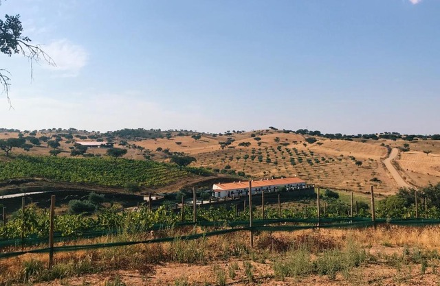Herdade da Moringa