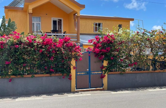 Hibiscus chez Arielle