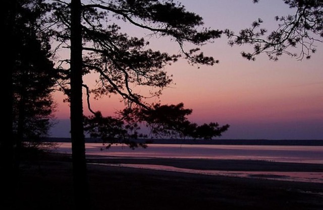 Hiirevända Holiday House